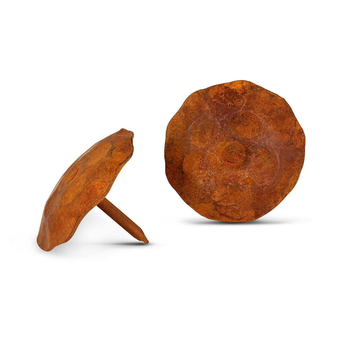 1.5x22 Round Iron Decorative Nail Clavos Rusted G3389