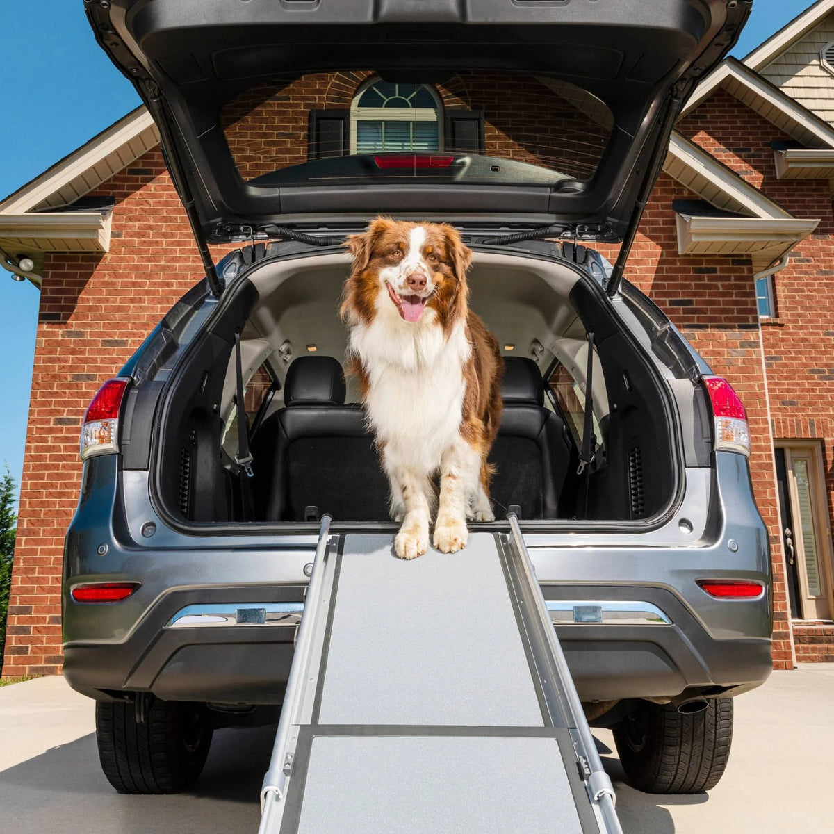 Telescoping Pet Ramp Y725505