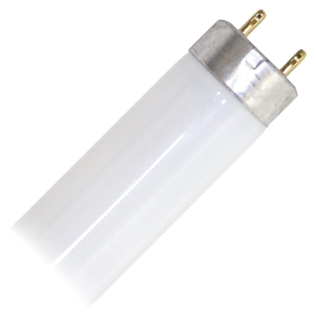 F17T8 Light Bulb R269485