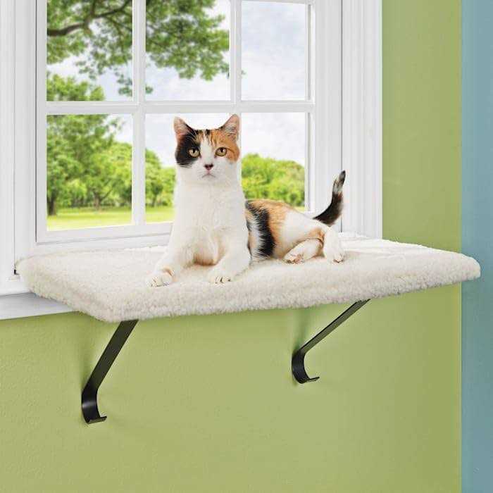 Memory Foam Window Cat Perch D400