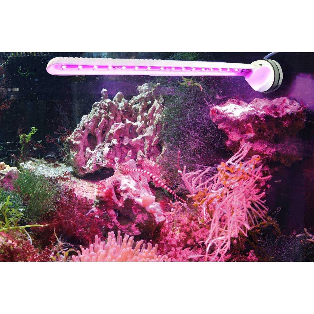 Refugium LED Light W69114