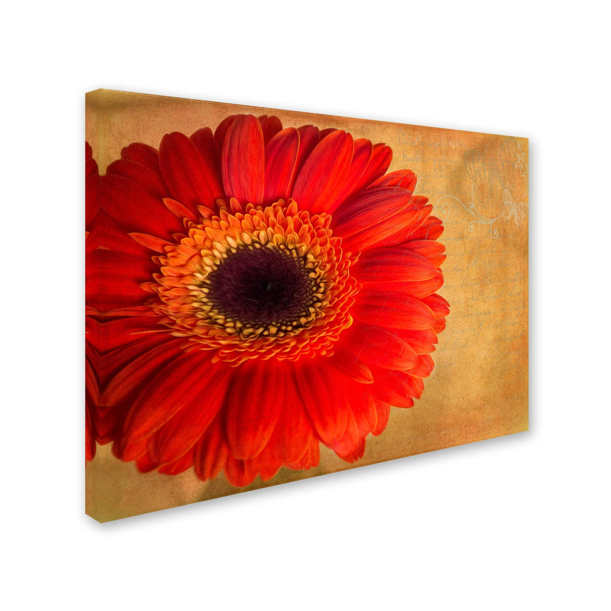 Canvas W84199