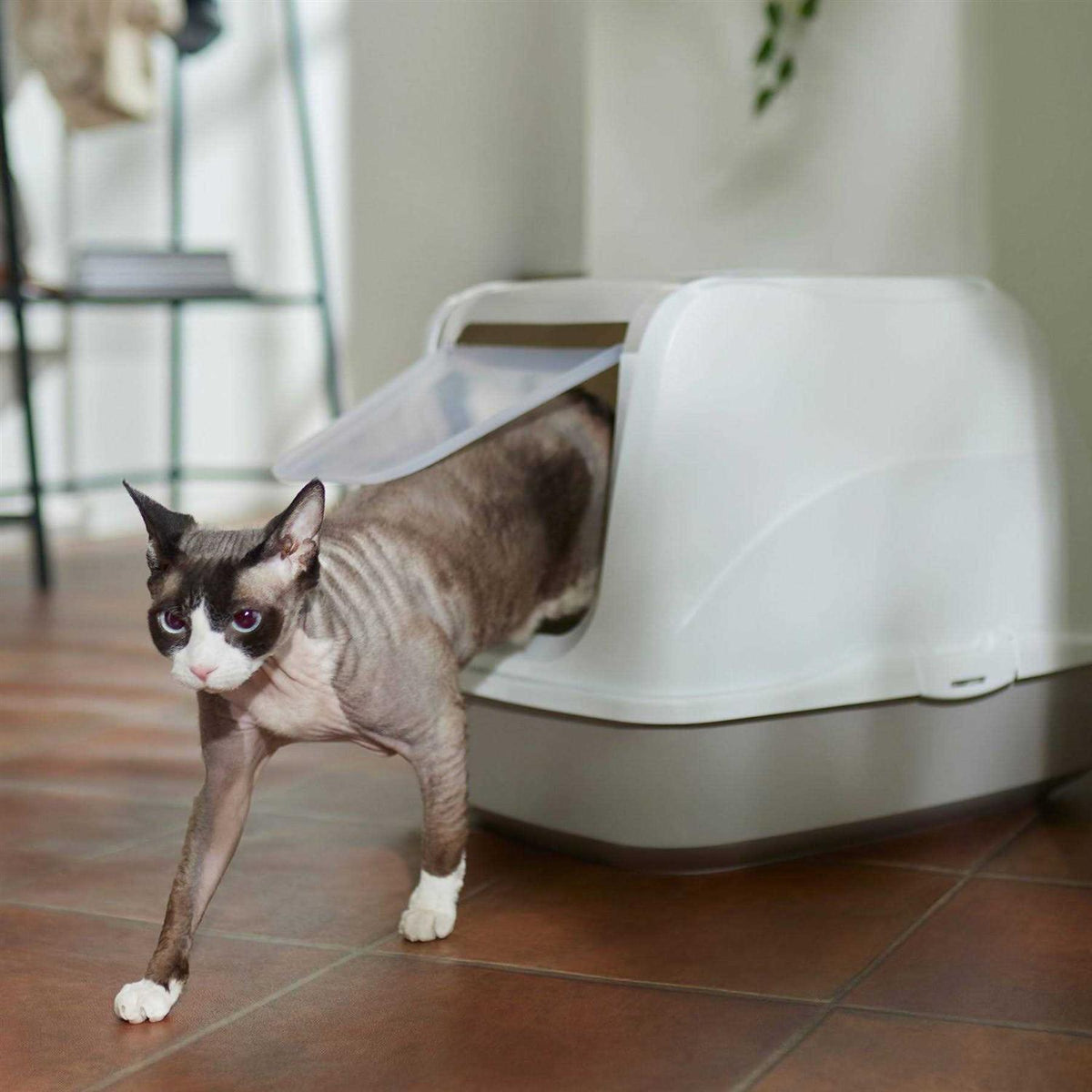 Flip Top Hooded Cat Litter Box I624
