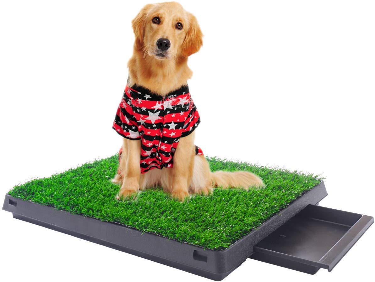 Indoor Outdoor Dog Puppy Potty Trainer Pad Grass Toilet Mat Tray 25"x20" W185730