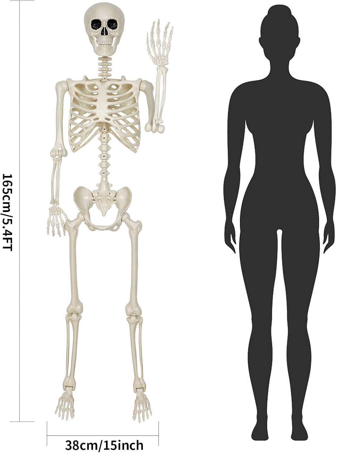 5.4FT Posable Skeleton Decorations Y323193