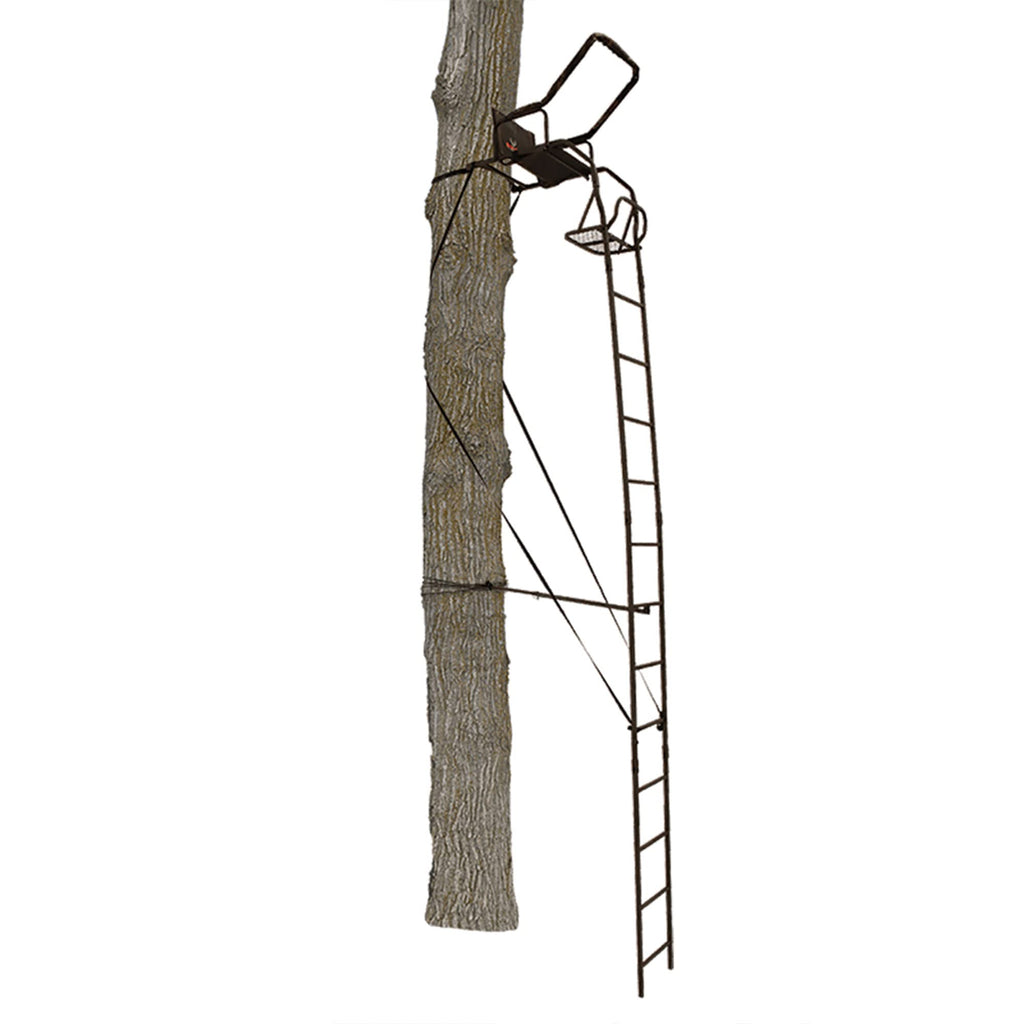 Ladder Tree Stand X11813