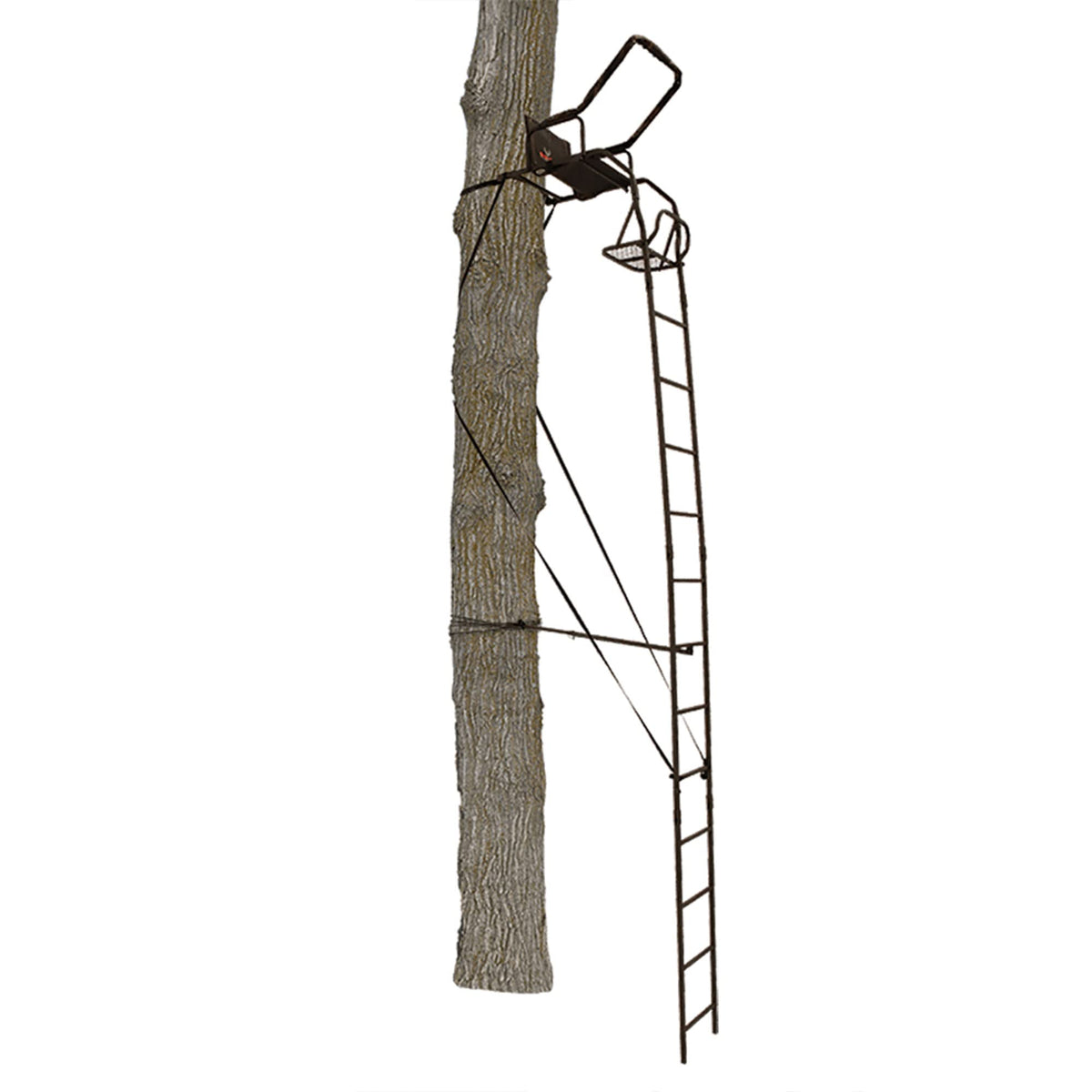 Ladder Tree Stand X11813