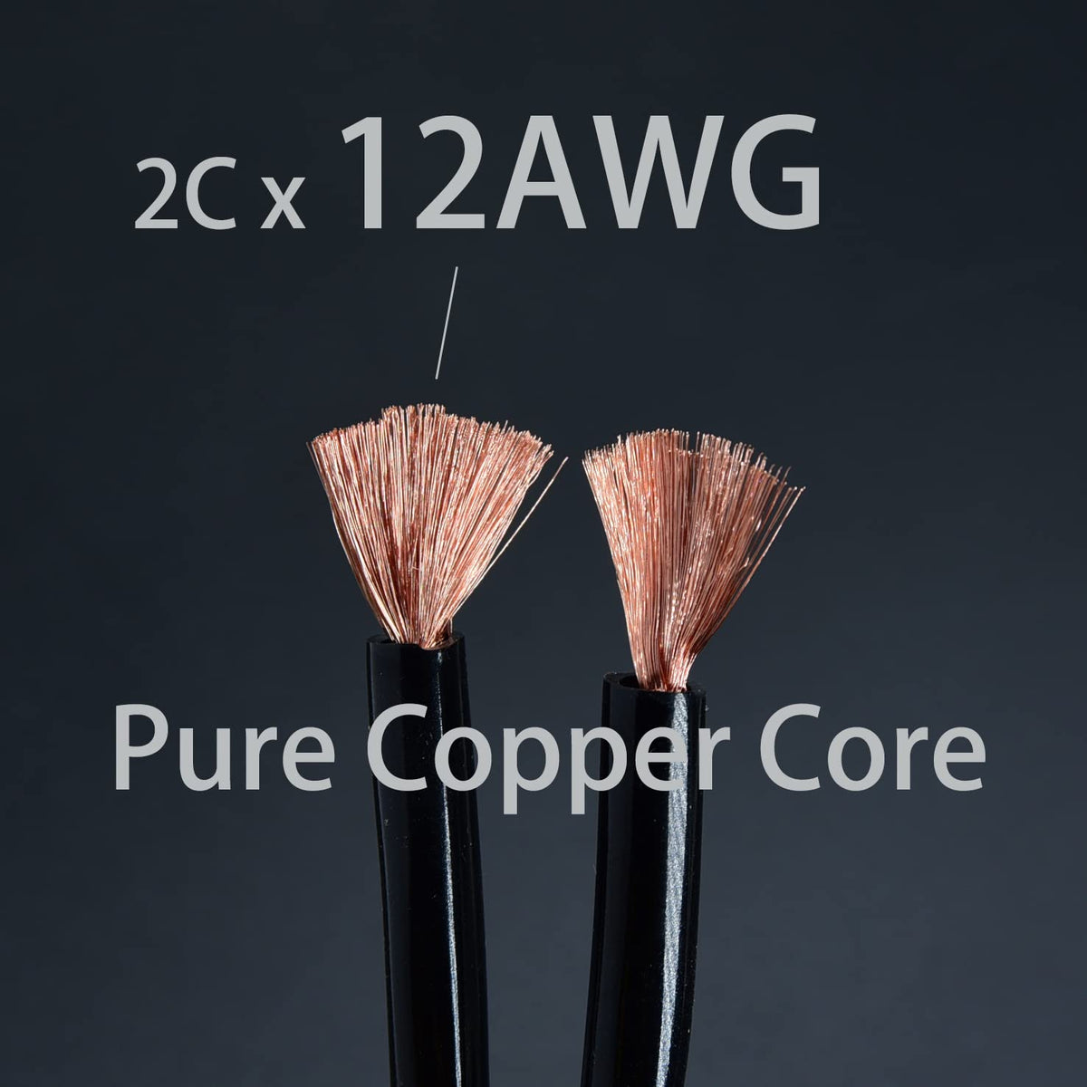 10ft 12awg Braided Speaker Cable E466887