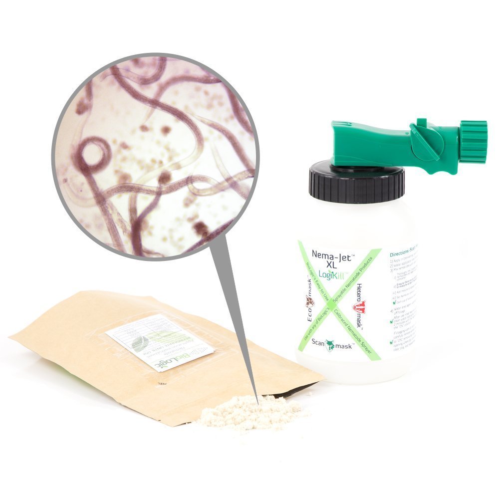 Beneficial Nematodes Hose End Sprayer R59214
