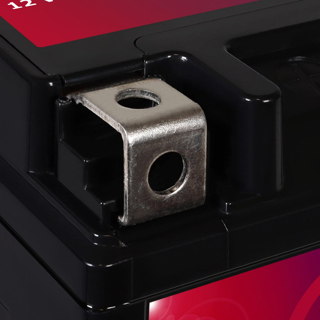 12v 11.2Ah 230CCA Battery S39407
