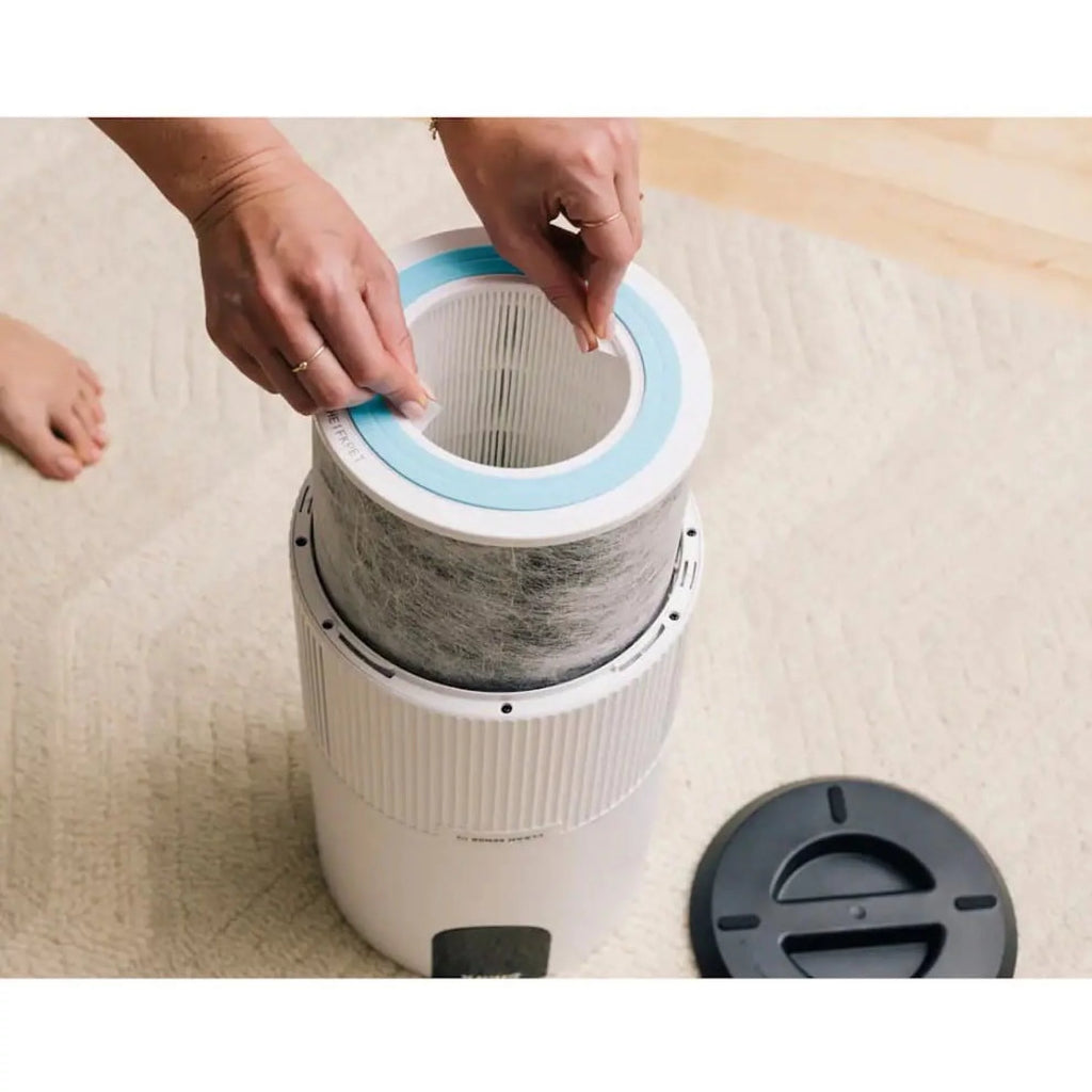 Air Purifier With True HEPA D9135