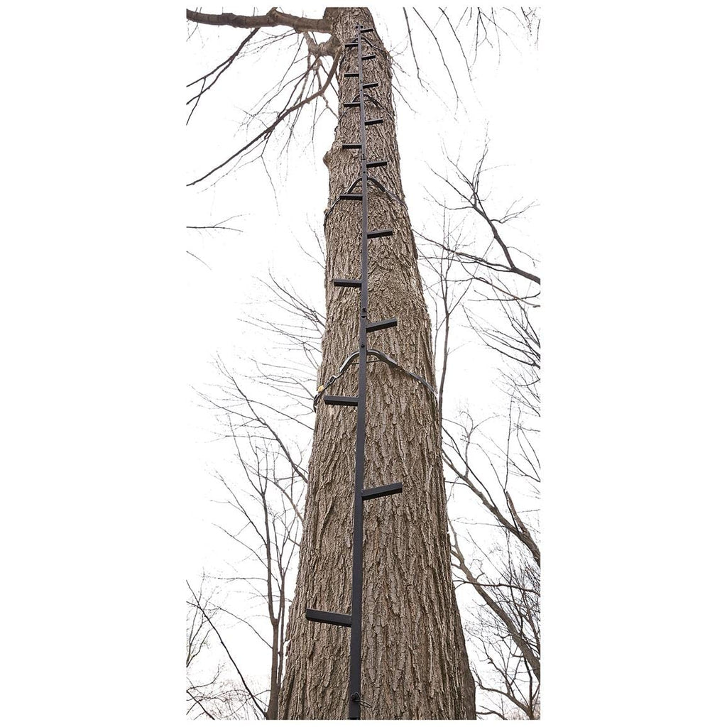 Climbing Stick Ladder I85555