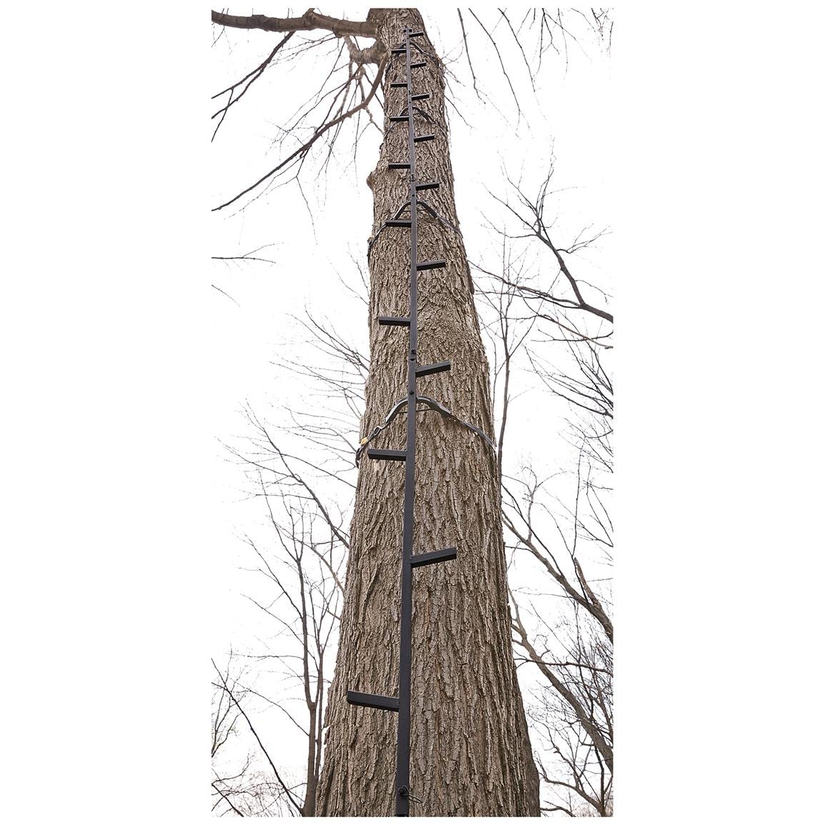 Climbing Stick Ladder I85555