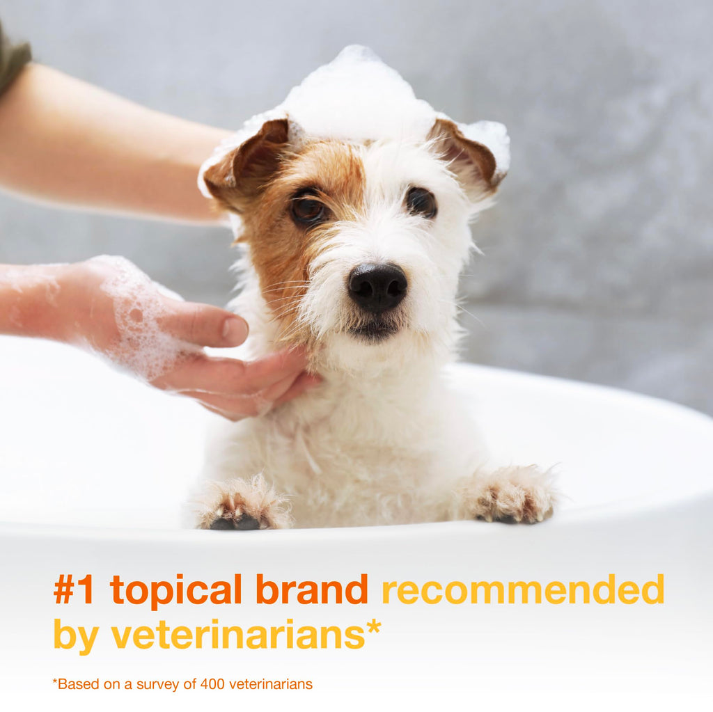 Chlorhexidine Shampoo and Mousse for Dogs R48289