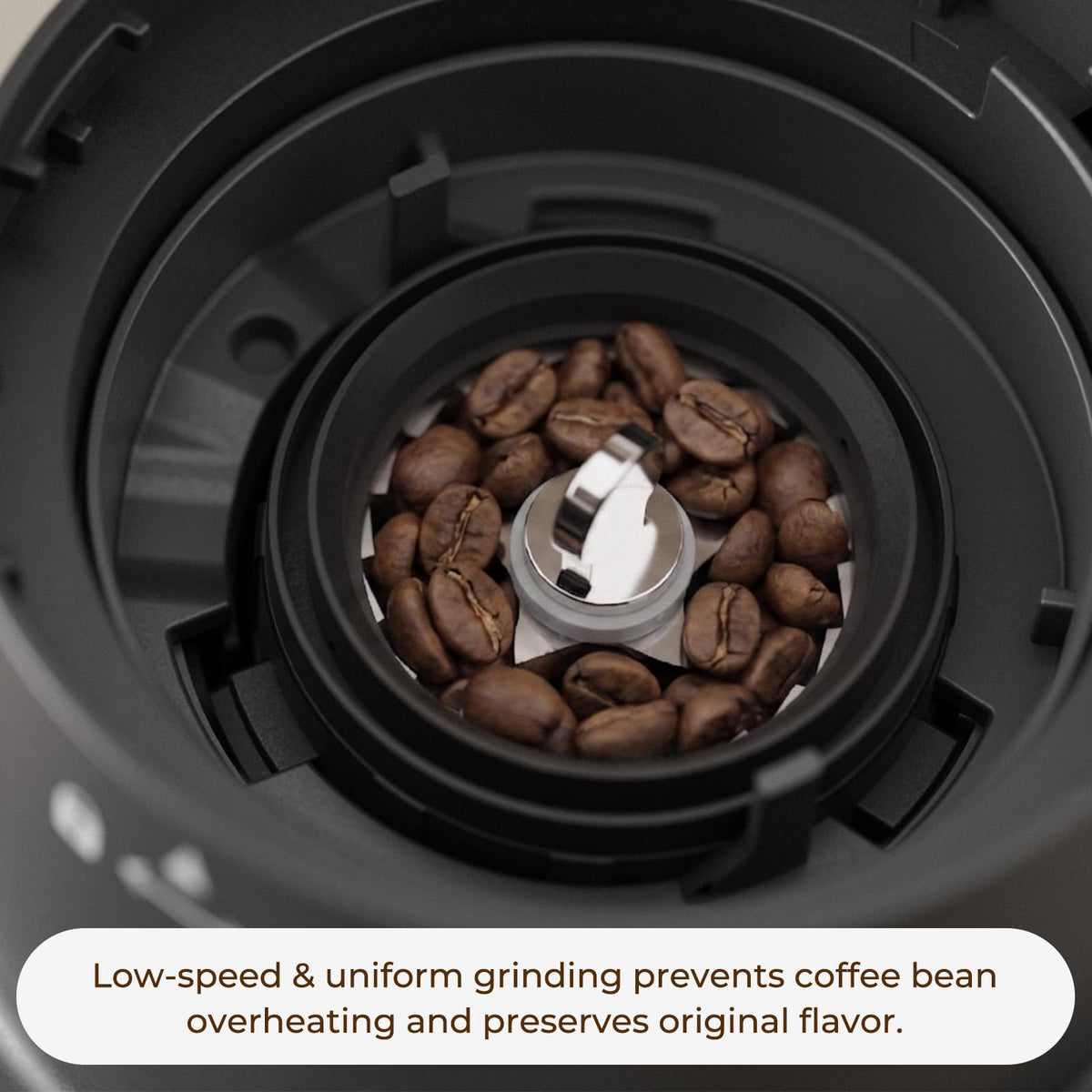 Conical Burr Coffee Grinder, 60 Settings, Black P438633