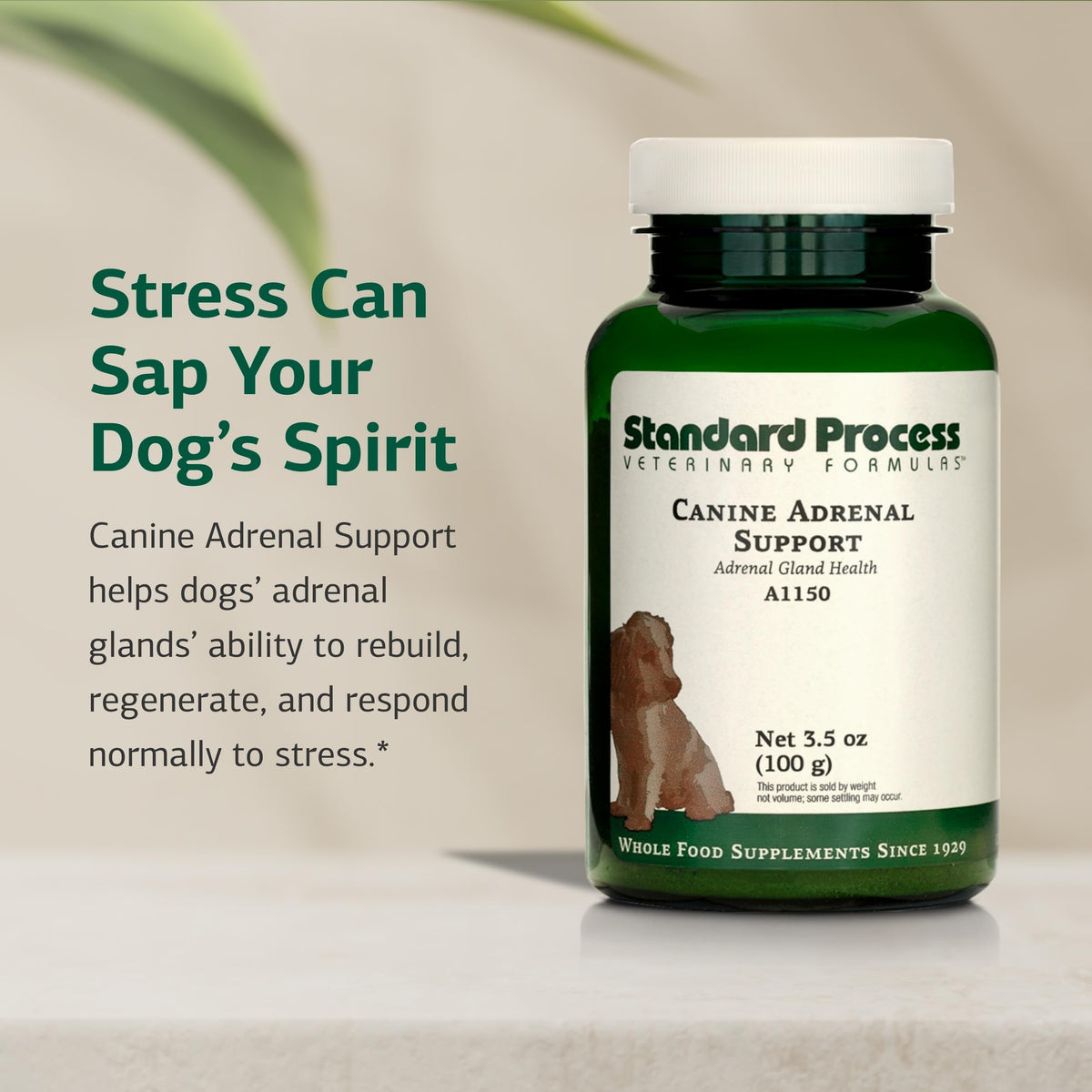 Canine Adrenal Support 100 g D324