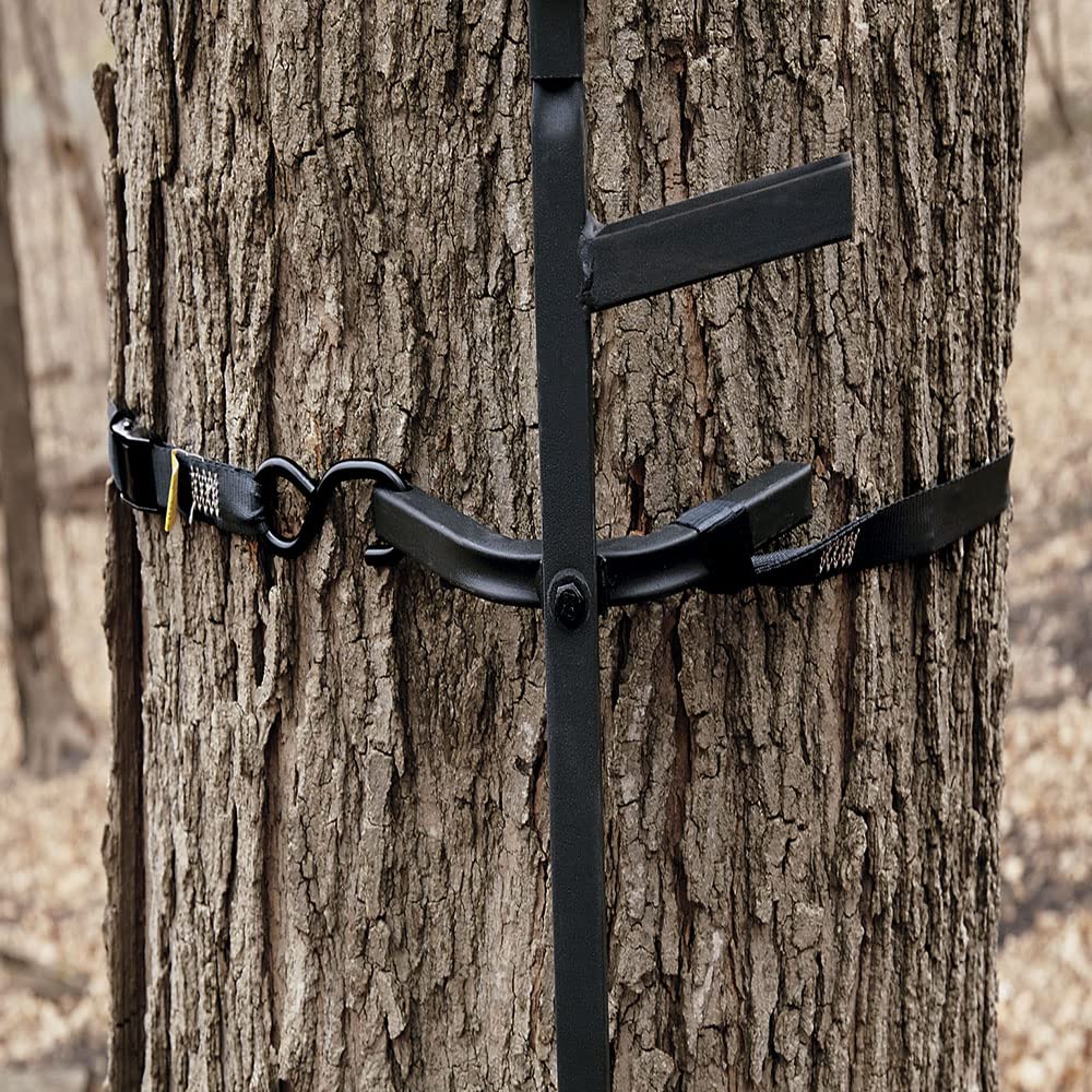 Climbing Stick Ladder I85555
