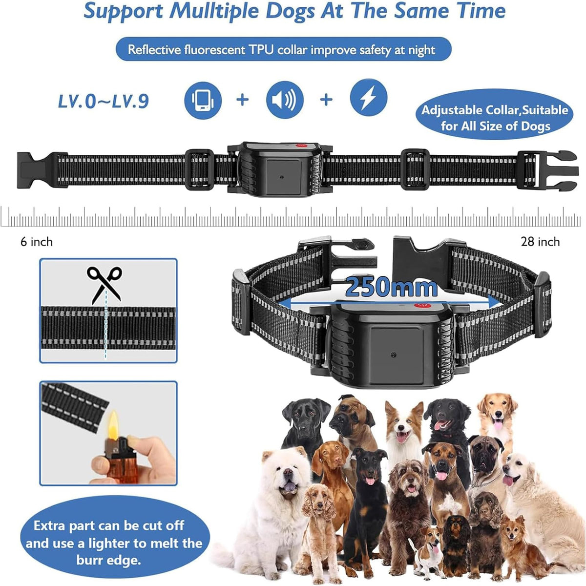 Wireless Dog Fence & Electric Training Collar with Remote C65384