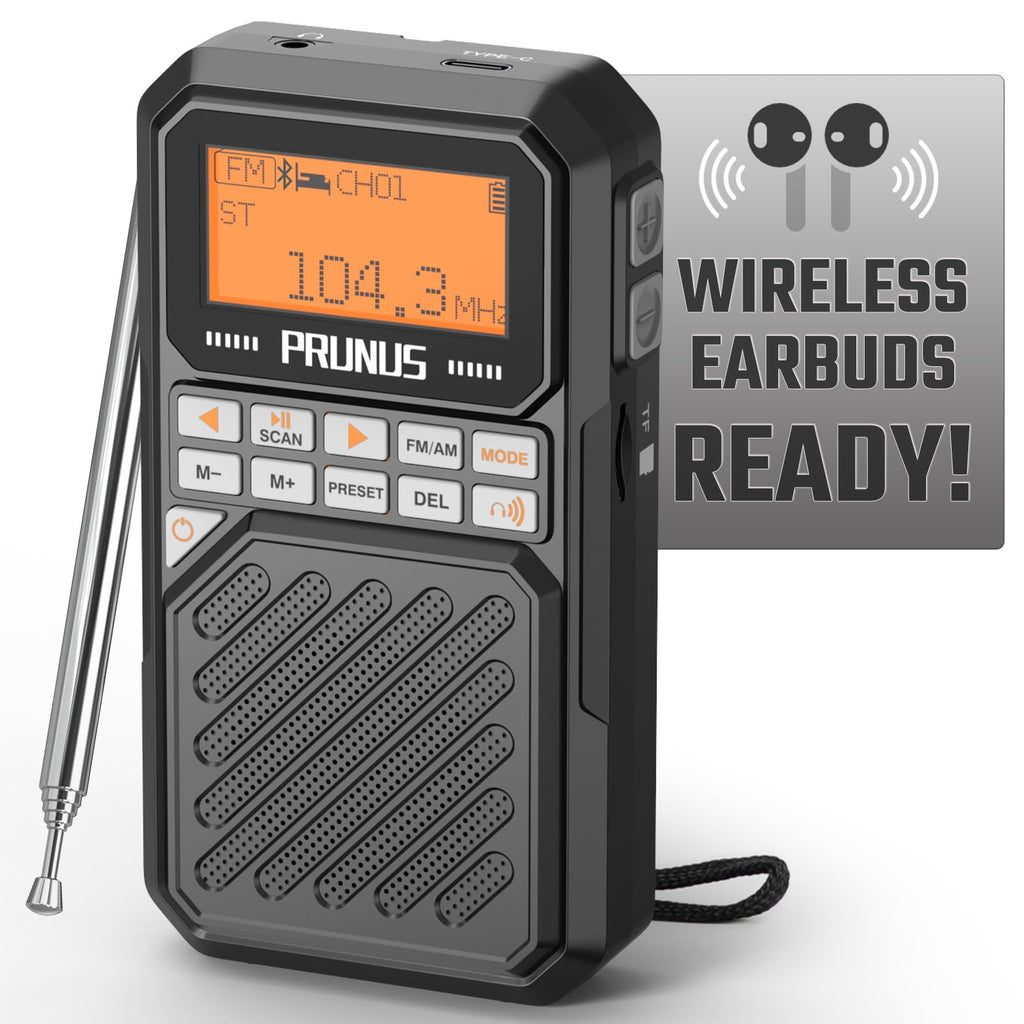 Portable AM FM Radio with Bluetooth P5490