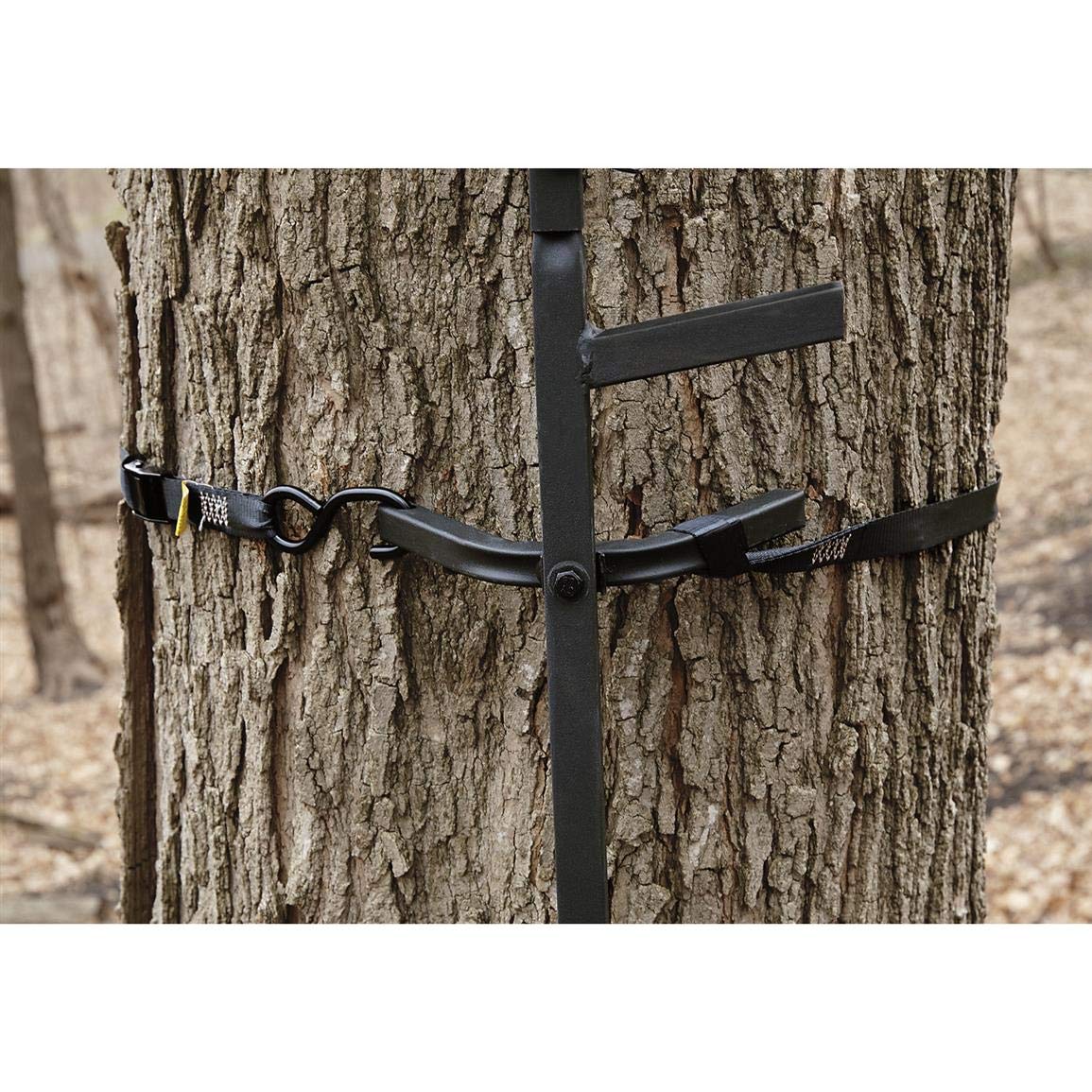 Climbing Stick Ladder I85555