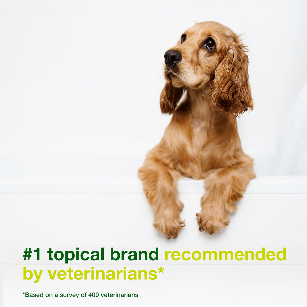 Dog Seboregulating Shampoo 16.9 fl oz B4877