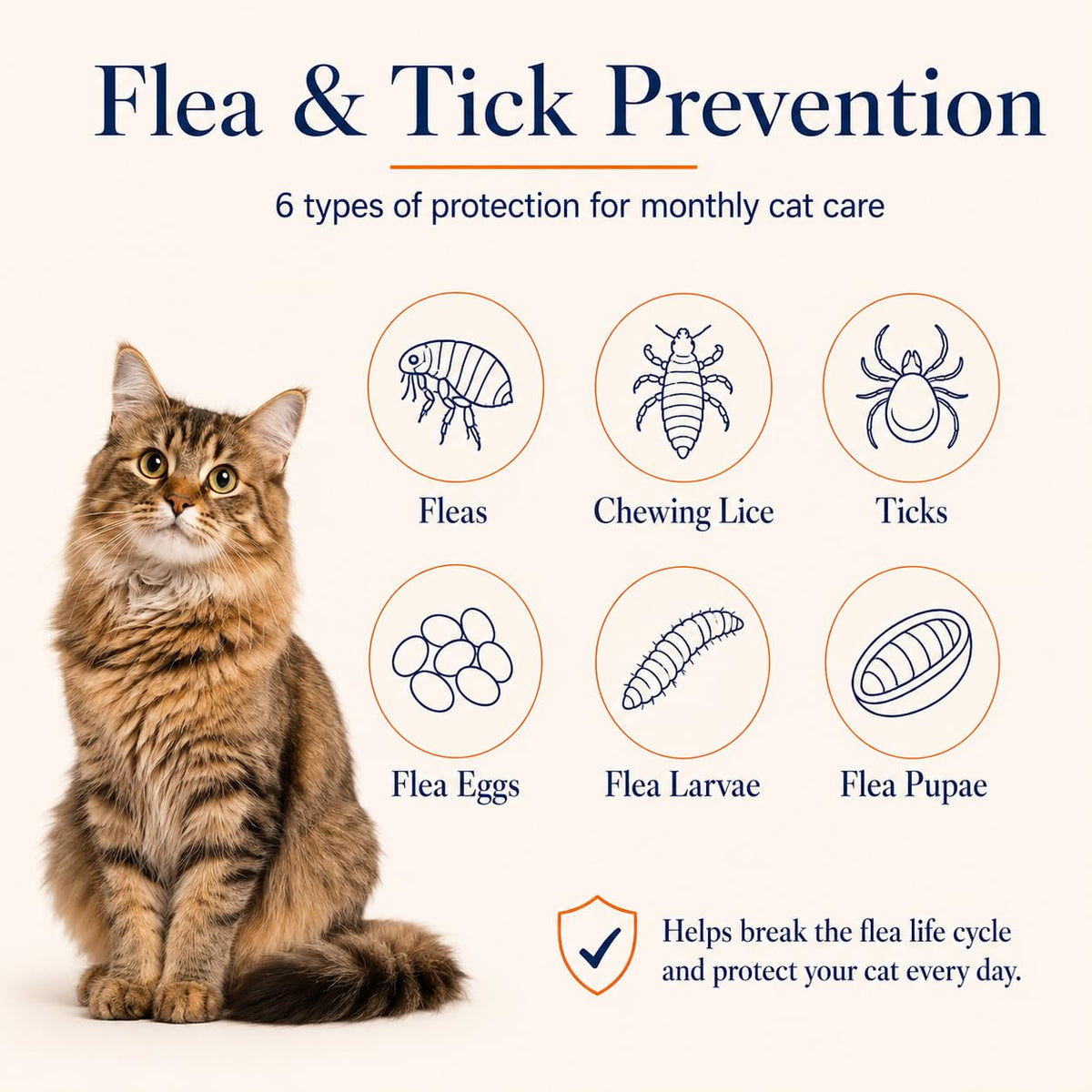 Waterproof Topical Flea & Tick Preventative for Cats, 6 Doses R95982