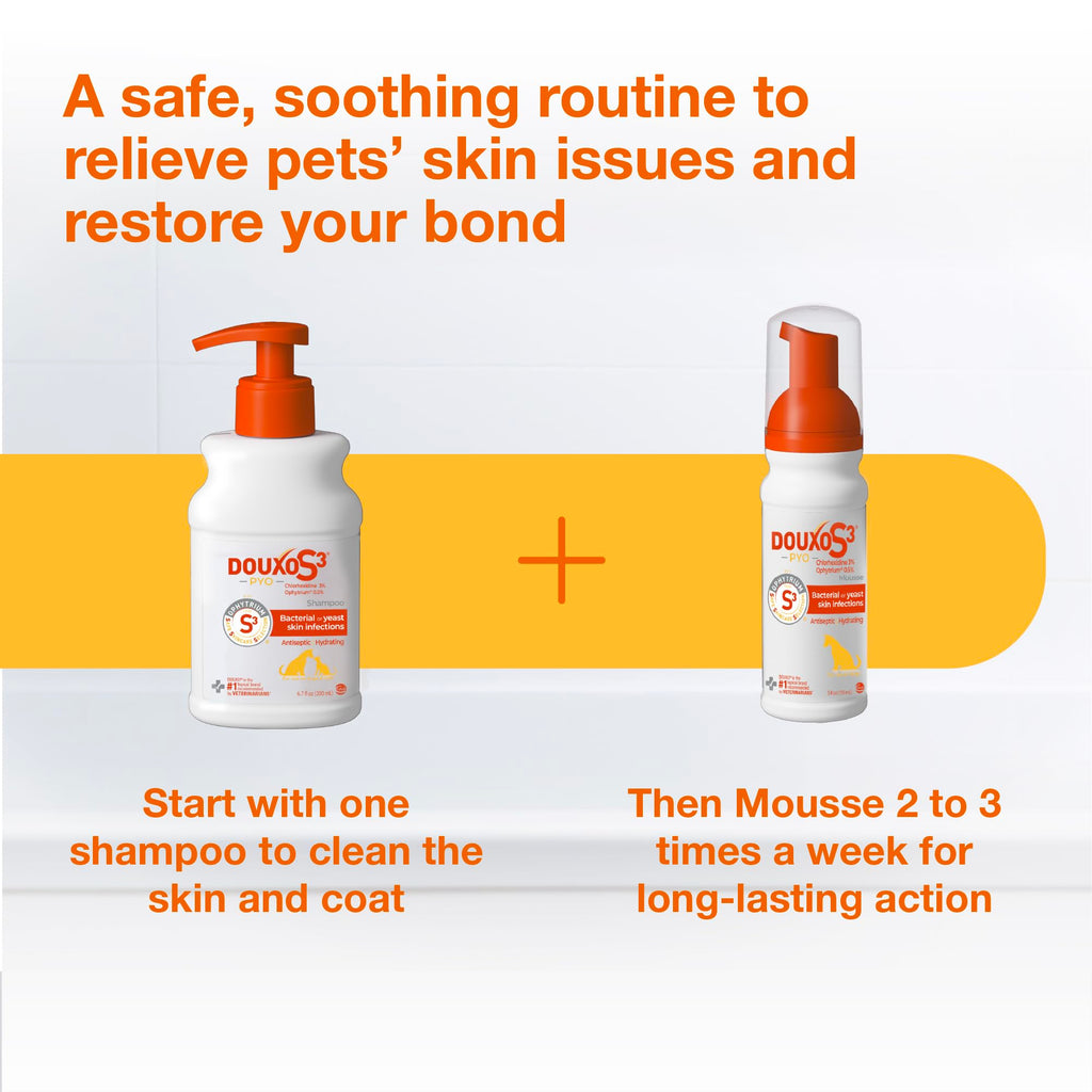 Chlorhexidine Shampoo and Mousse for Dogs R48289