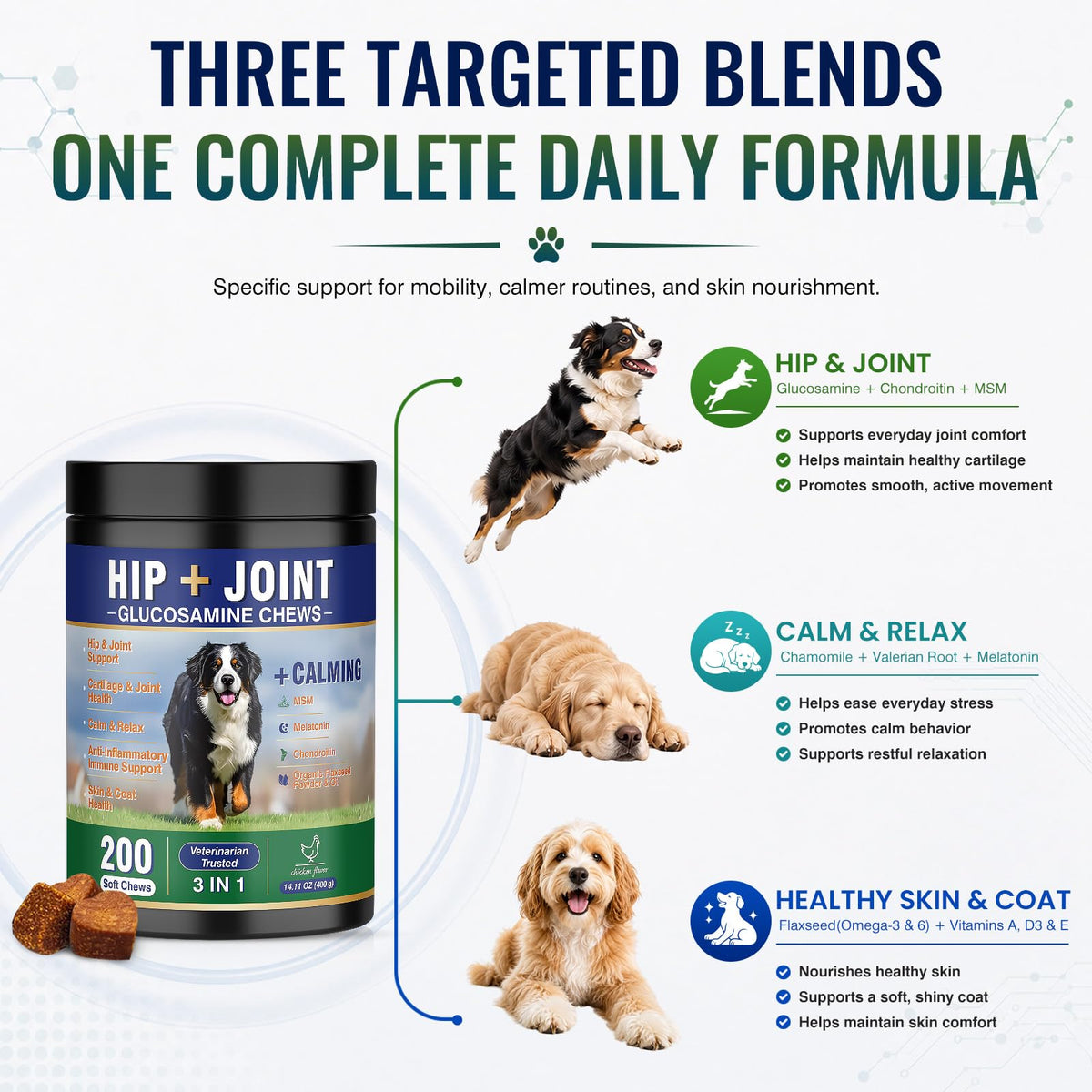 Hip and Joint Supplement for Dogs 200ct B1843
