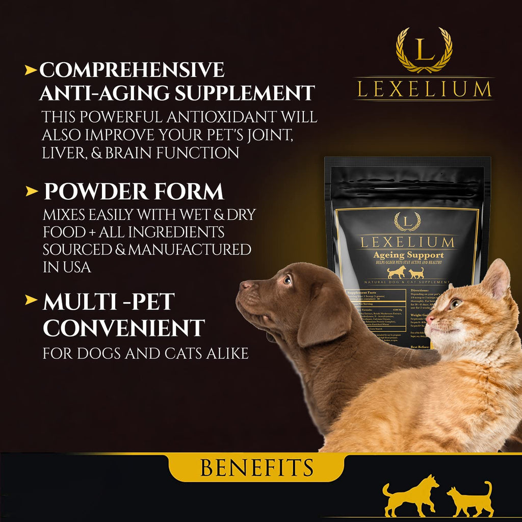 Dog & Cat Antioxidant 200g K10382
