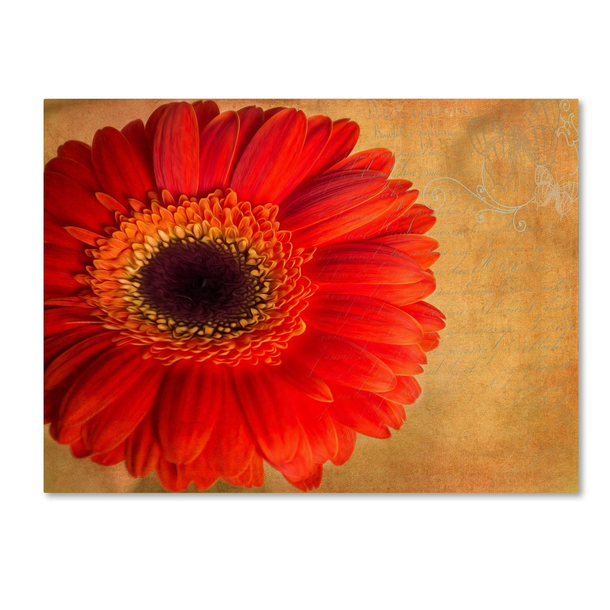 Canvas W84199