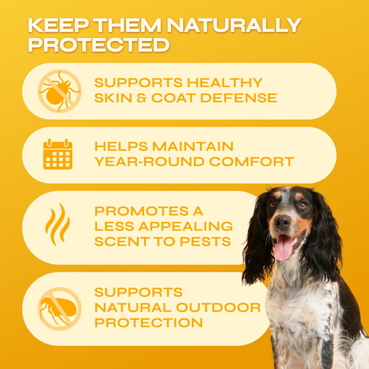 Flea and Tick Chewable Soft Treats for Dogs D38296
