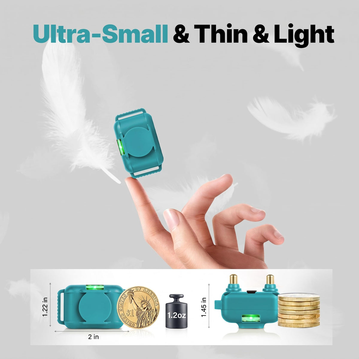 Small Cat Training Collar with Remote G16020