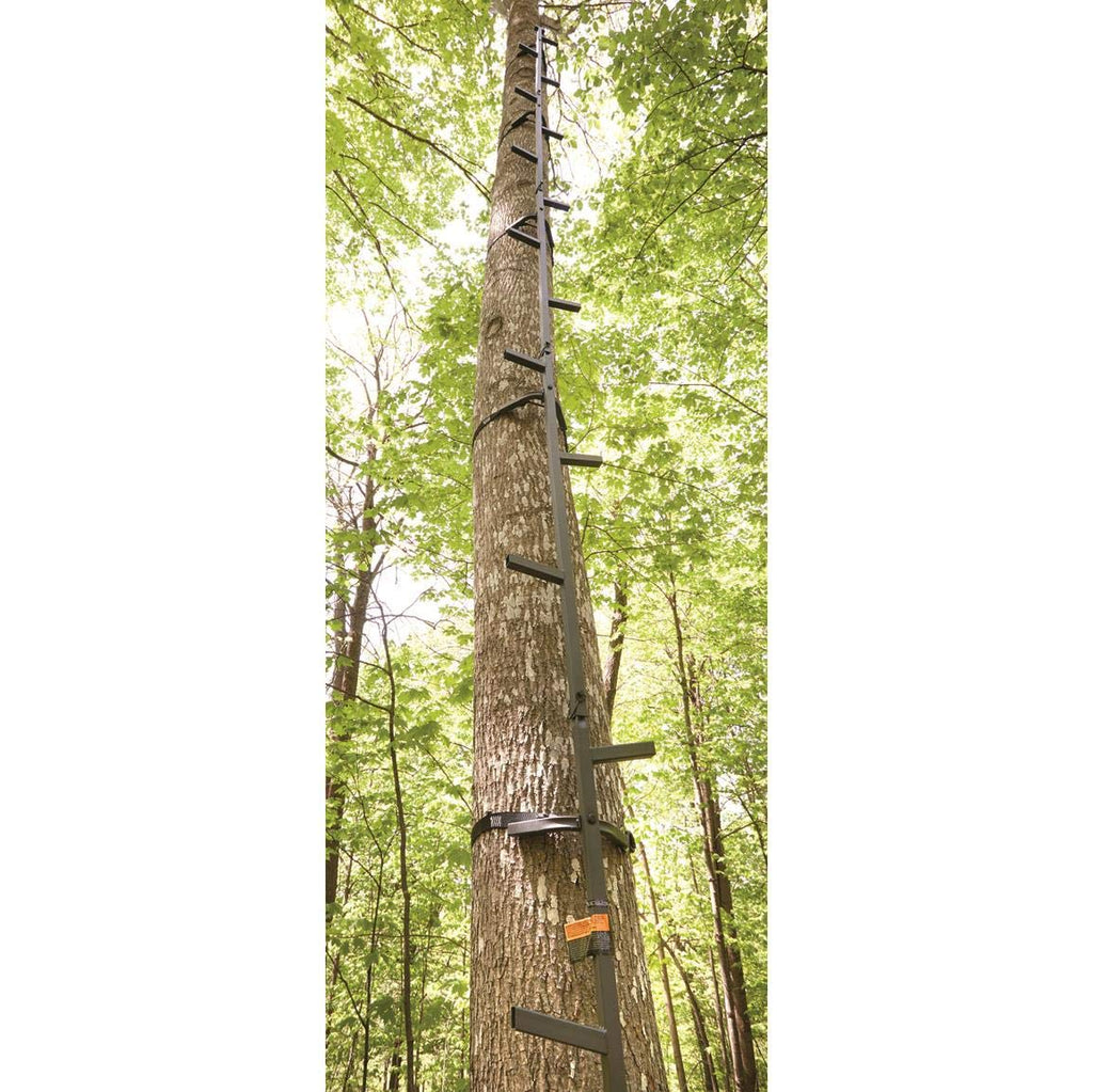 Climbing Stick Ladder I85555