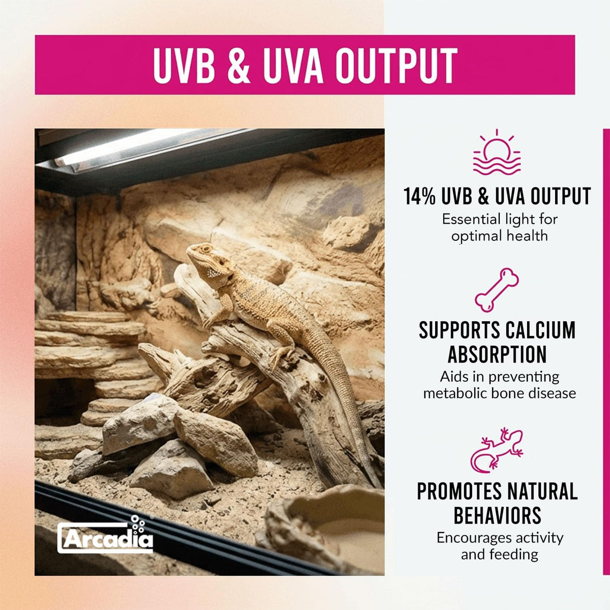 39W UVB Lighting Kit I5494