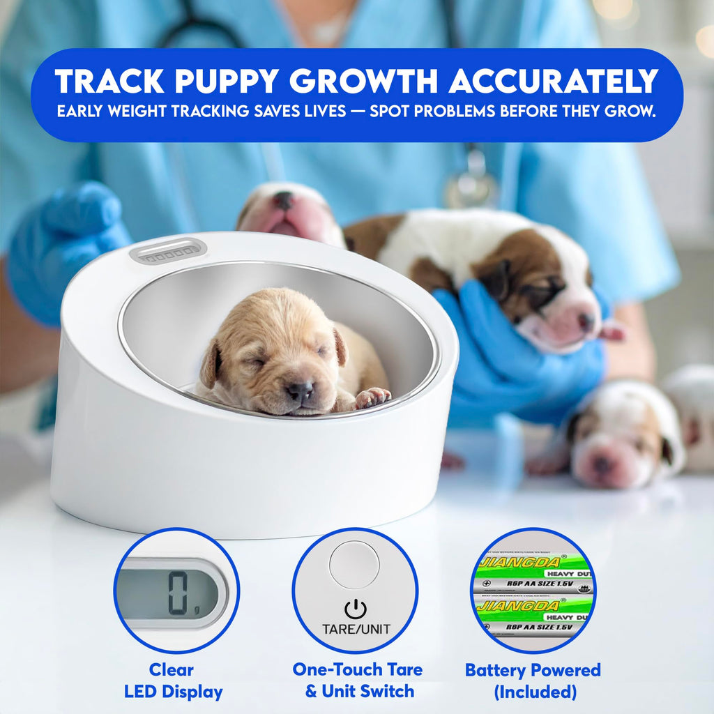 Digital Weight Scale with Stainless-Steel Bowl V476
