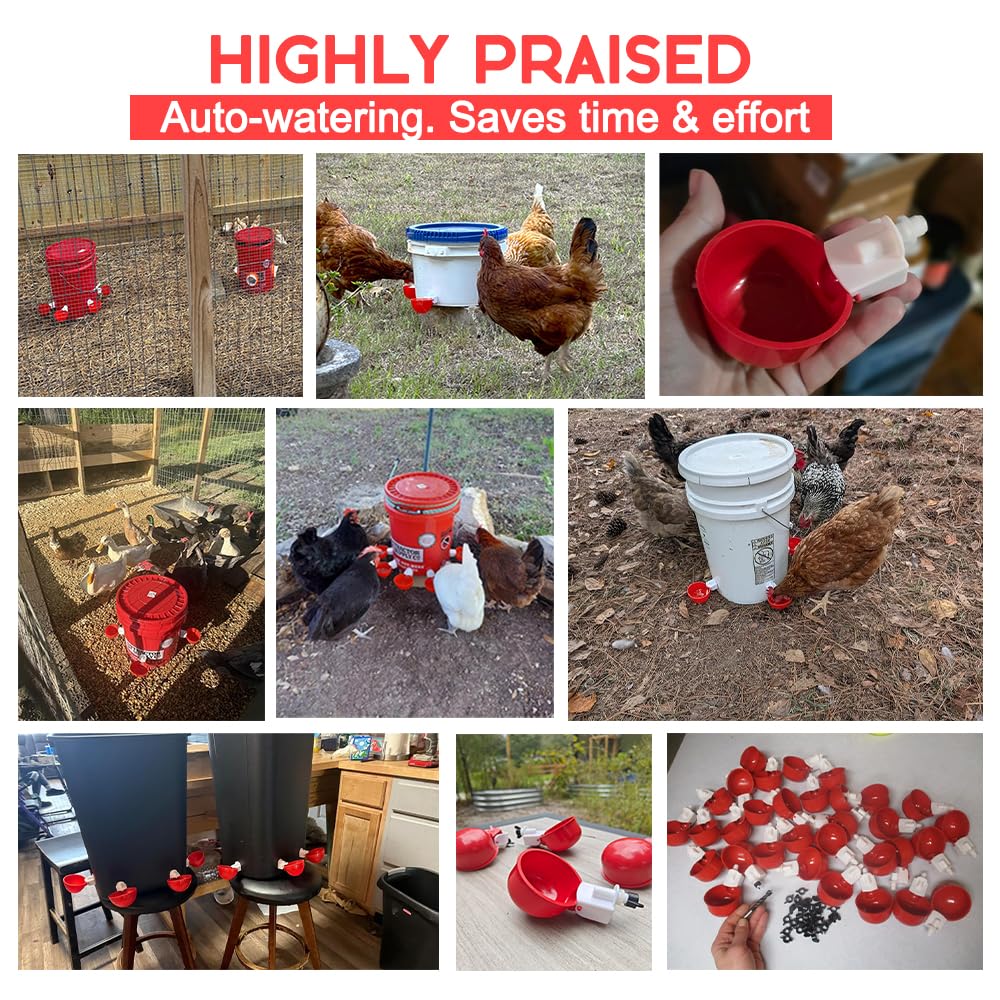 32 Pack Automatic Poultry Waterer Cups with Mounting Hole Opener N1046