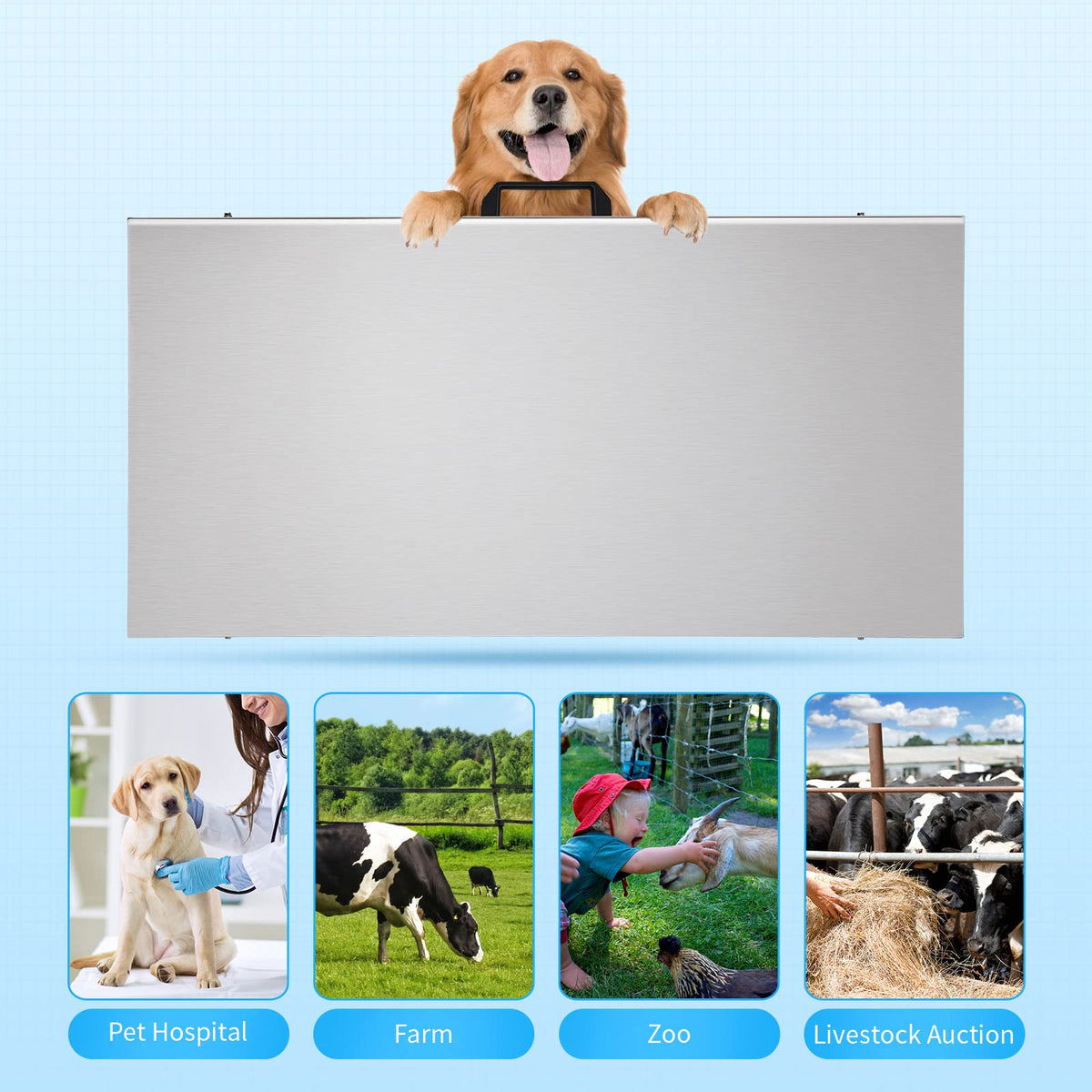 Heavy Duty Digital Livestock Scale with LCD Display Y51279