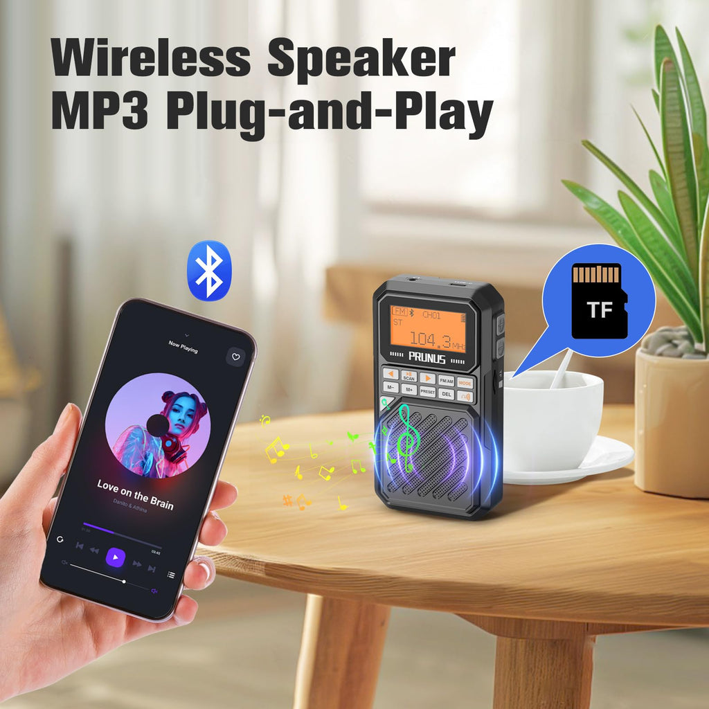 Portable AM FM Radio with Bluetooth P5490