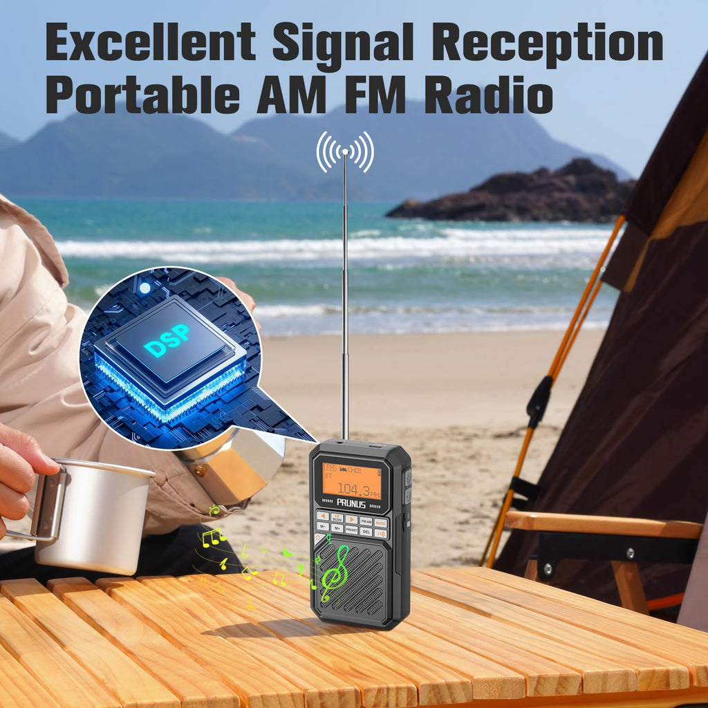 Portable AM FM Radio with Bluetooth P5490