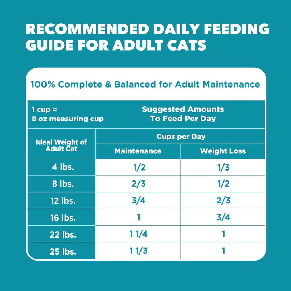 Indoor Dry Cat Food Chicken & Turkey 7 lb I8720