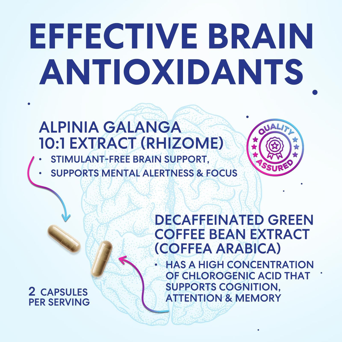 120 Capsules Brain Memory Supplement with Vitamin B6 B12 Folate & Phosphatidylserine P81654