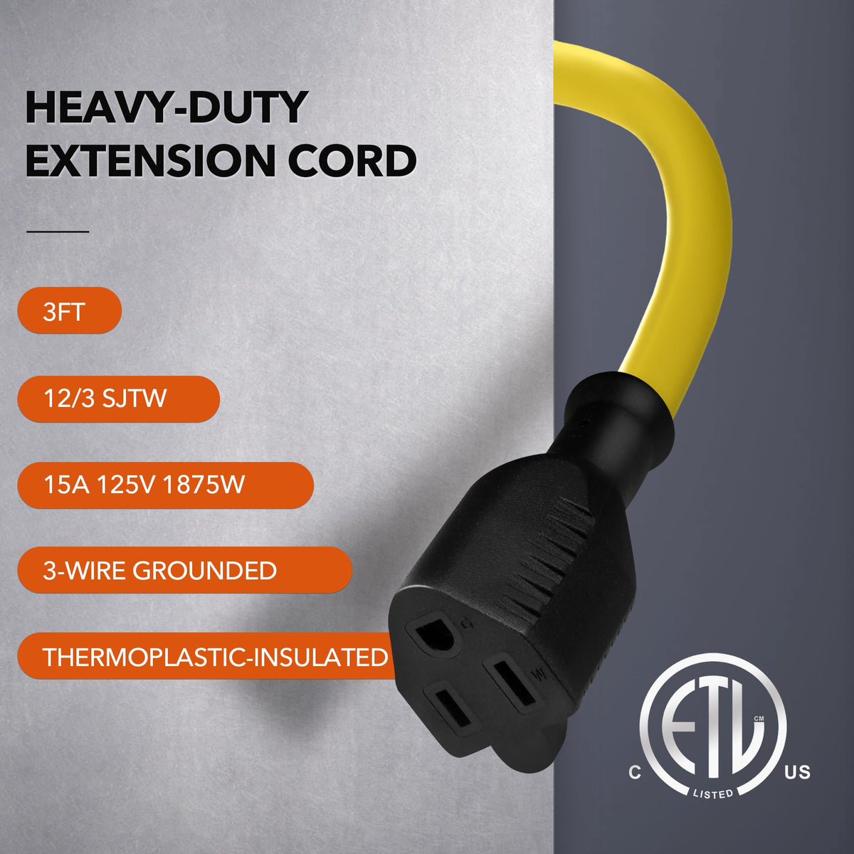 3ft 12/3 SJTW Heavy Duty Outdoor Extension Cord N877662