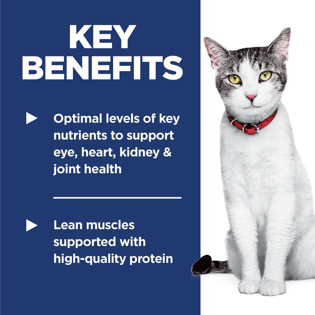 Dry Cat Food P33894