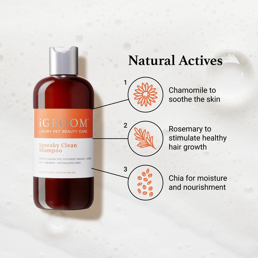Dog Shampoo Chamomile Extracts 1 GAL B10639