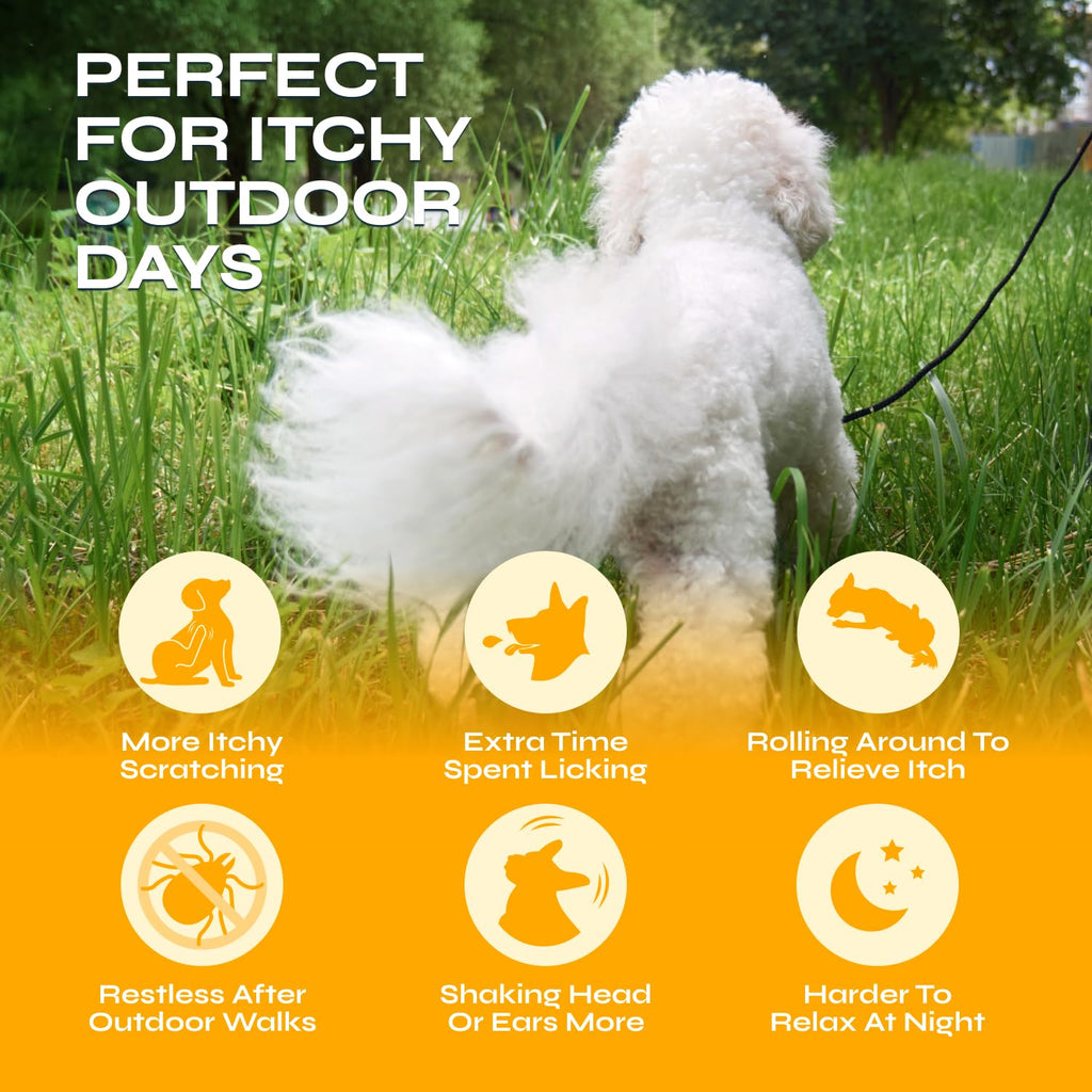Flea and Tick Chewable Soft Treats for Dogs D38296