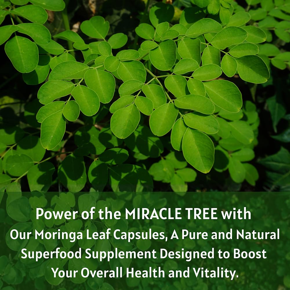 1000 mg Moringa Capsules A334385