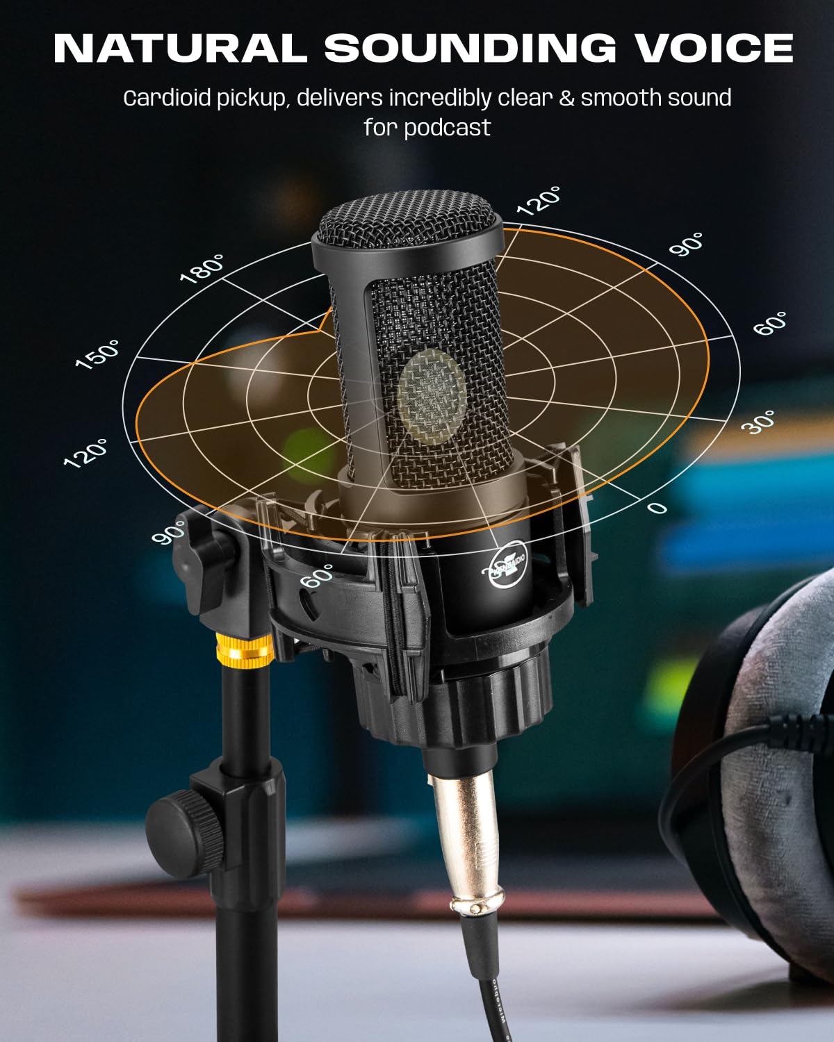 XLR Condenser Microphone with 26mm Large Diaphragm Cardioid Recording Studio Mic Kit C1067