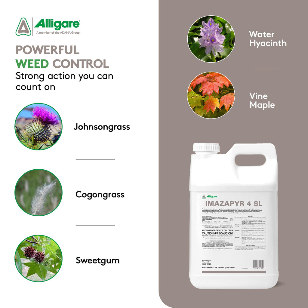 Imazapyr 4 SL Herbicide 2.5 Gallon Liquid Weed Killer T469
