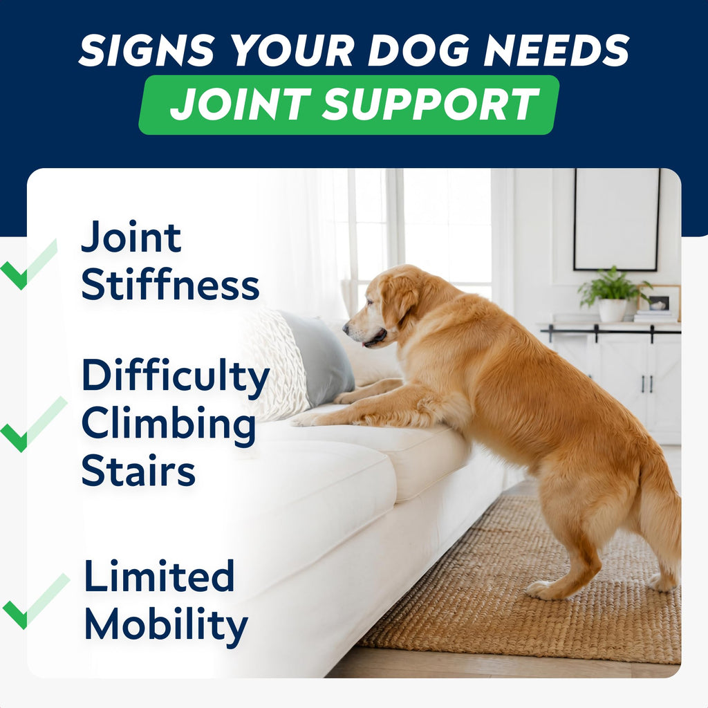 Hip Joint Supplement for Dogs C62517