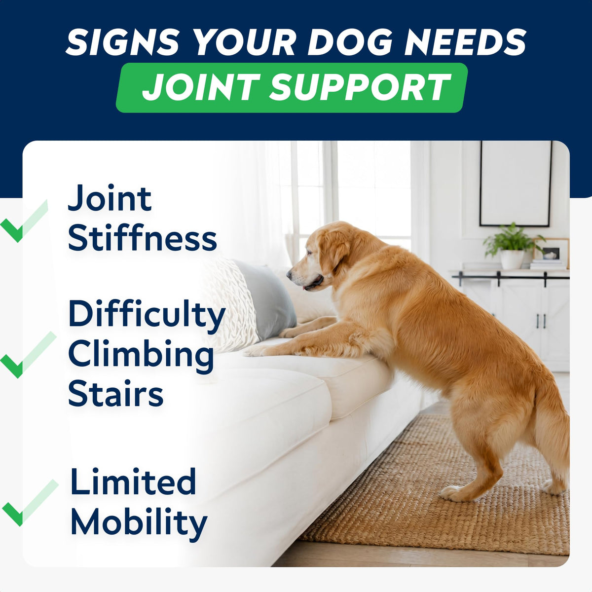 Hip Joint Supplement for Dogs C62517
